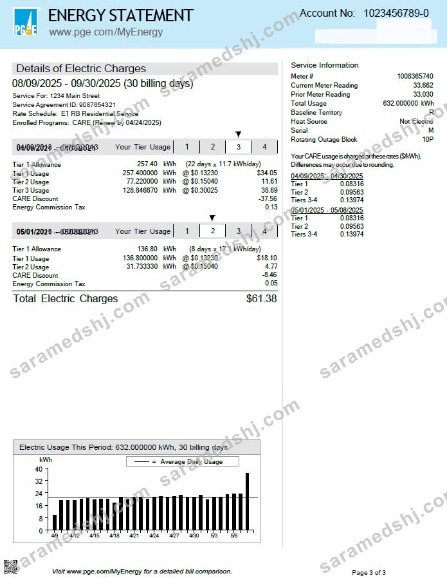 USA PG&E utility bill template in Word and PDF formats, 3 pages, 3rd page